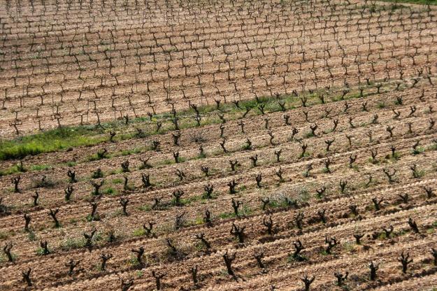 marzo2008-terra-alta1