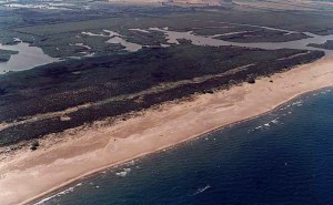 playa de Can Comes in Castelló d'Empuries
