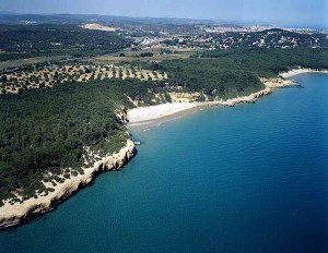 playa fondo of waikiki in Tarragona