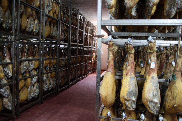 ruta de la plata 031