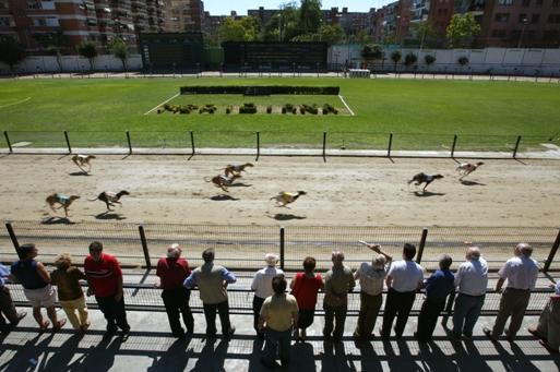 canodromo meridiana ©pere batlle